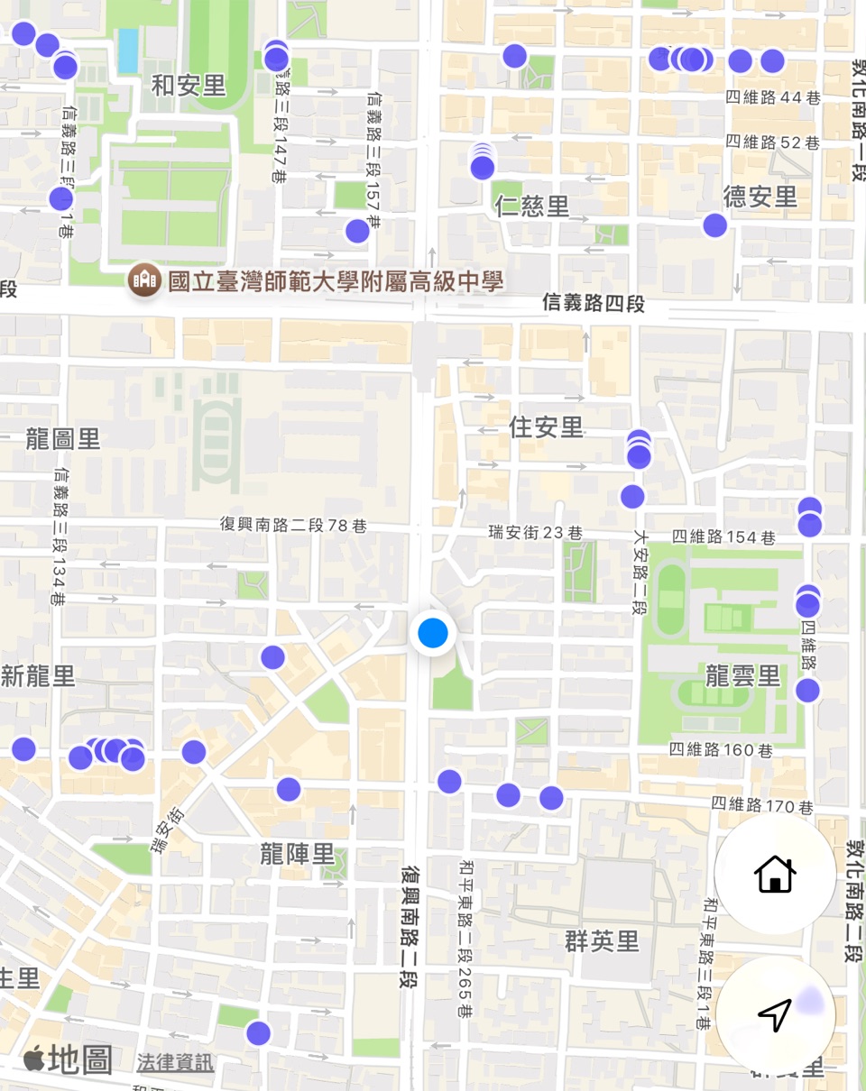 DashTW 實際畫面：在台北市復興南路二段一帶查詢後，地圖上標出附近空著的路邊車格